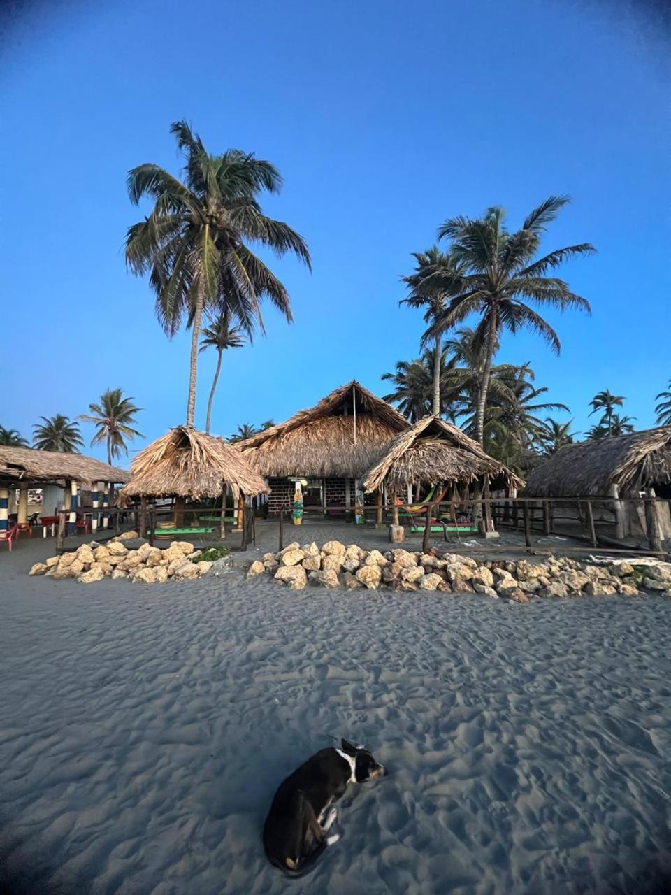 Antara Del Mar Otel San Bernardo del Viento Dış mekan fotoğraf